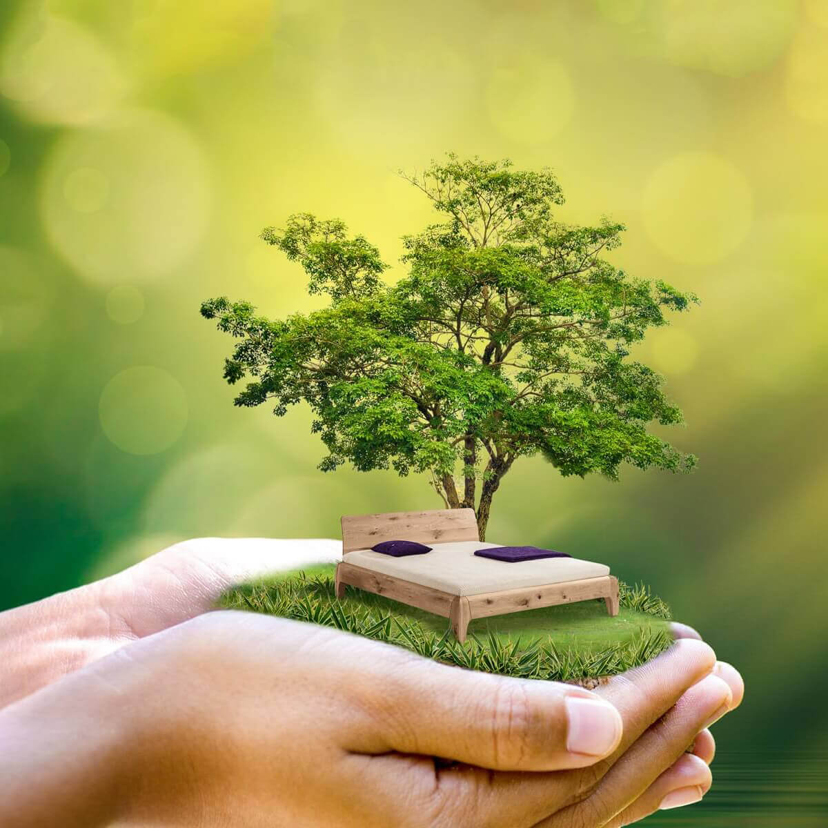 schlafgsund-zeller-it